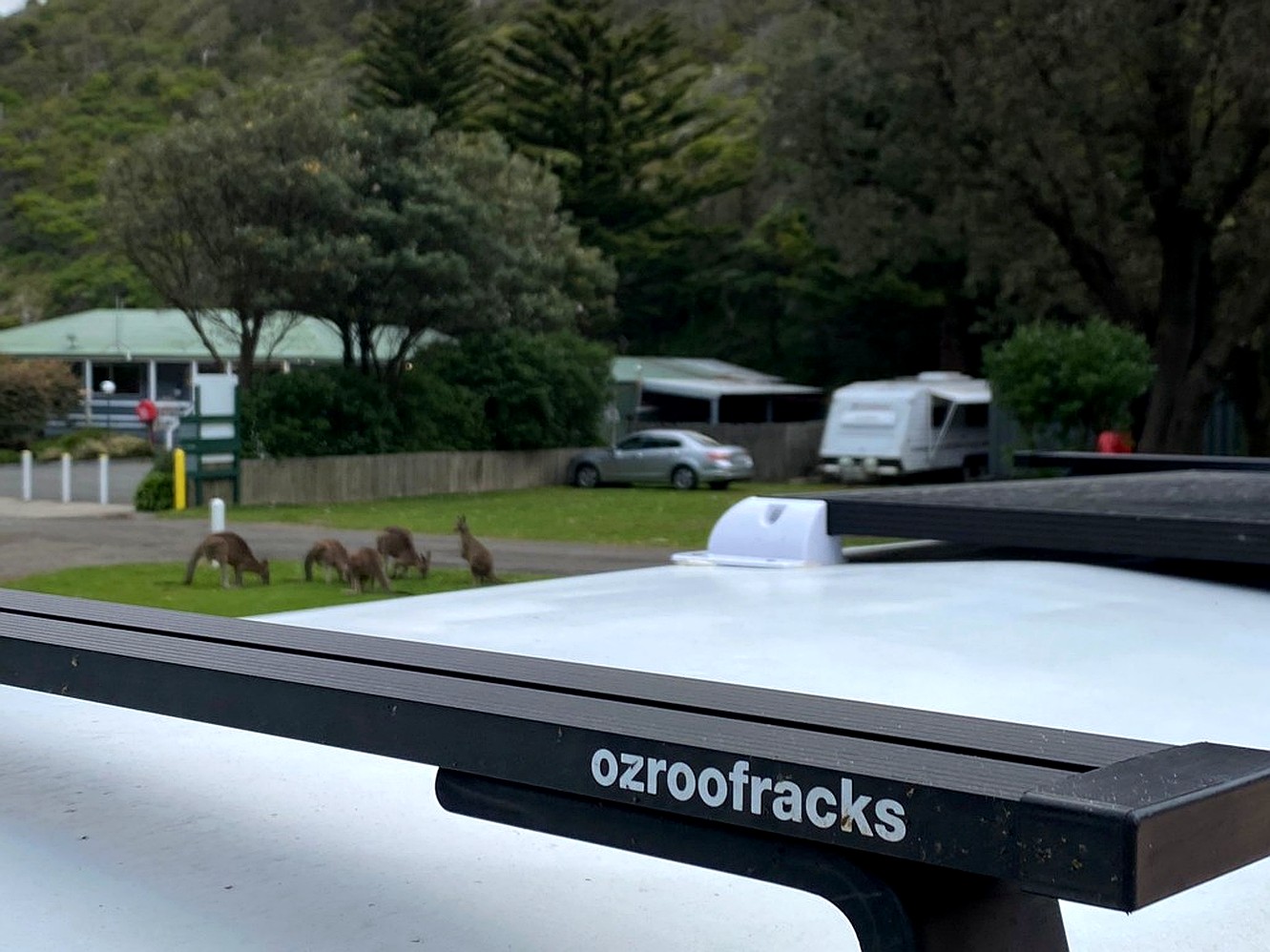 Ozroofracks | Honda N Van Roof Racks